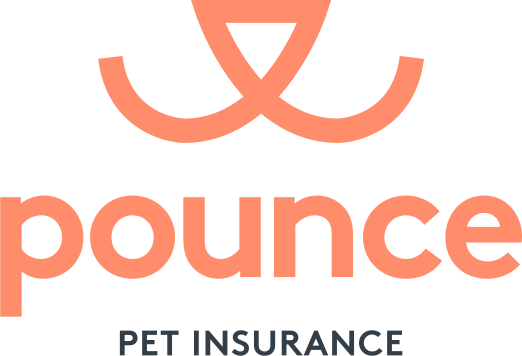 Pounce Pet Insurance